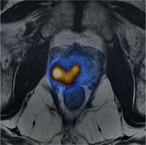 In-vivo Laboratory